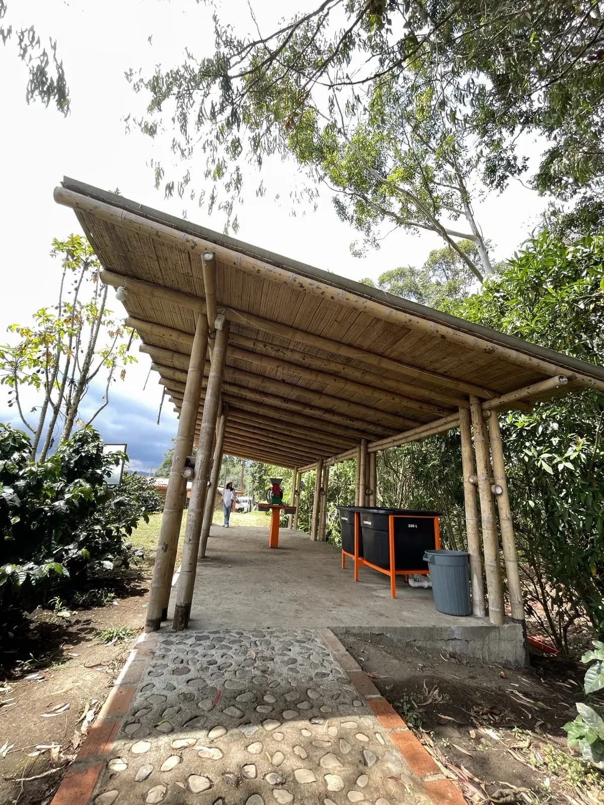 Bamboe pergola