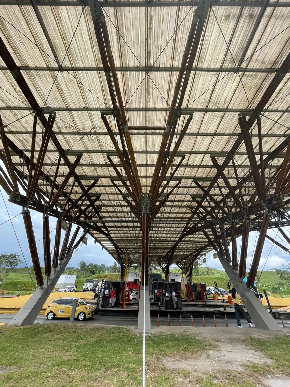 Grote Guadua bamboe constructie