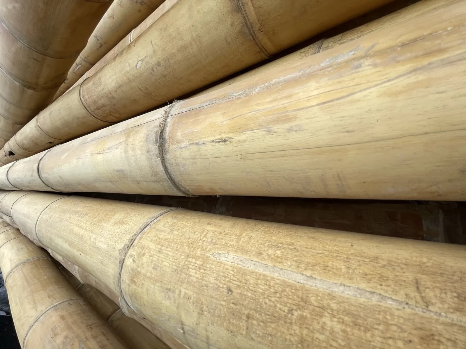 Bamboepalen standaard – 9 tot 11 cm