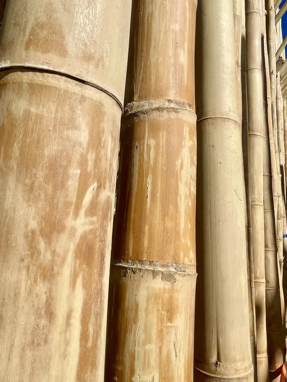 Bamboepalen constructie – 11 tot 13 cm
